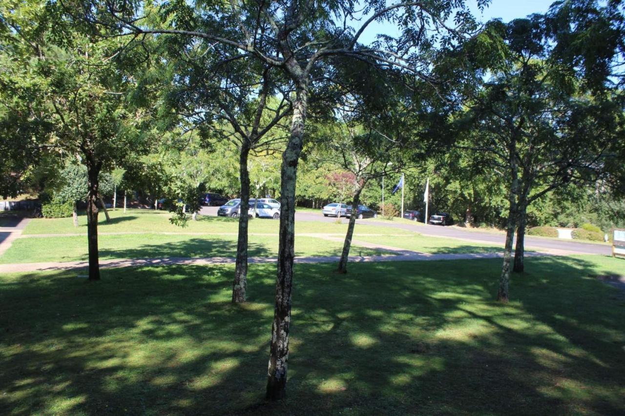 Résidence Gascogne \ appartement 116 Biscarrosse Esterno foto